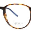 Brillen HACKETT | Hackett Heb311