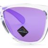 Sonnenbrillen Oakley | Oakley Kids Oj9009 Frogskins Xxs