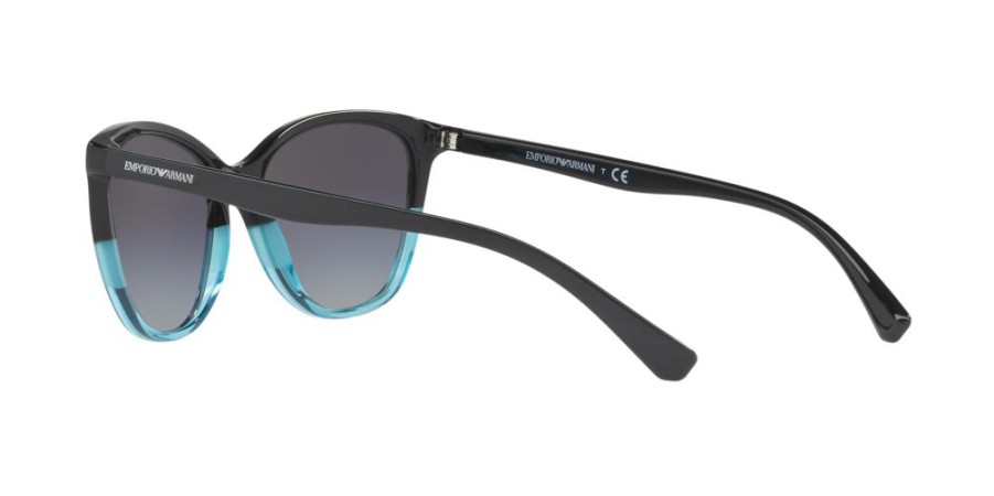 Sonnenbrillen Emporio Armani | Emporio Armani 0Ea4110